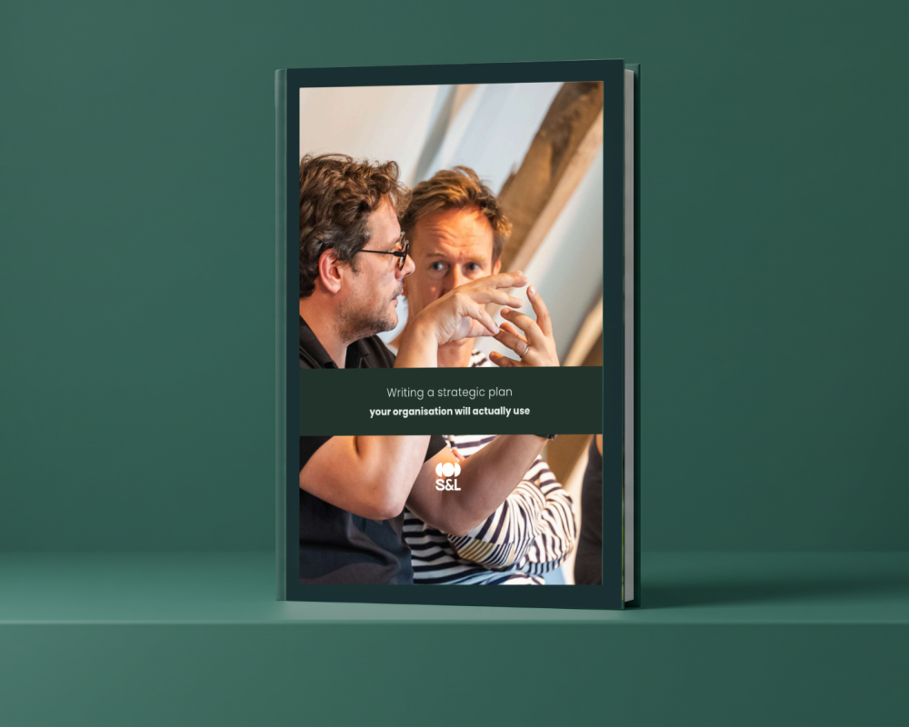 eBook - How Do I Write a Good Policy Plan?