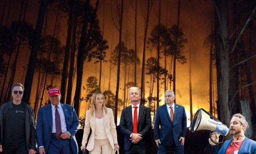 Nieuwjaarsbrief - Hoe in 2025 hoop sprokkelen in een brandend bos