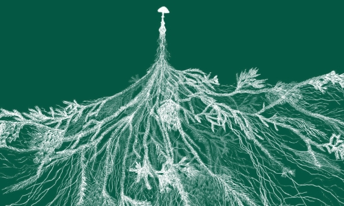 Het rizoom als strategisch model voor (kunsten)organisaties