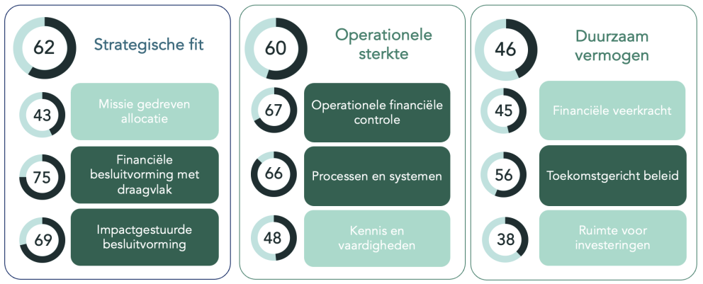 Financiële gezondheidsindex en scan Financiële gezondheidsindex en scan